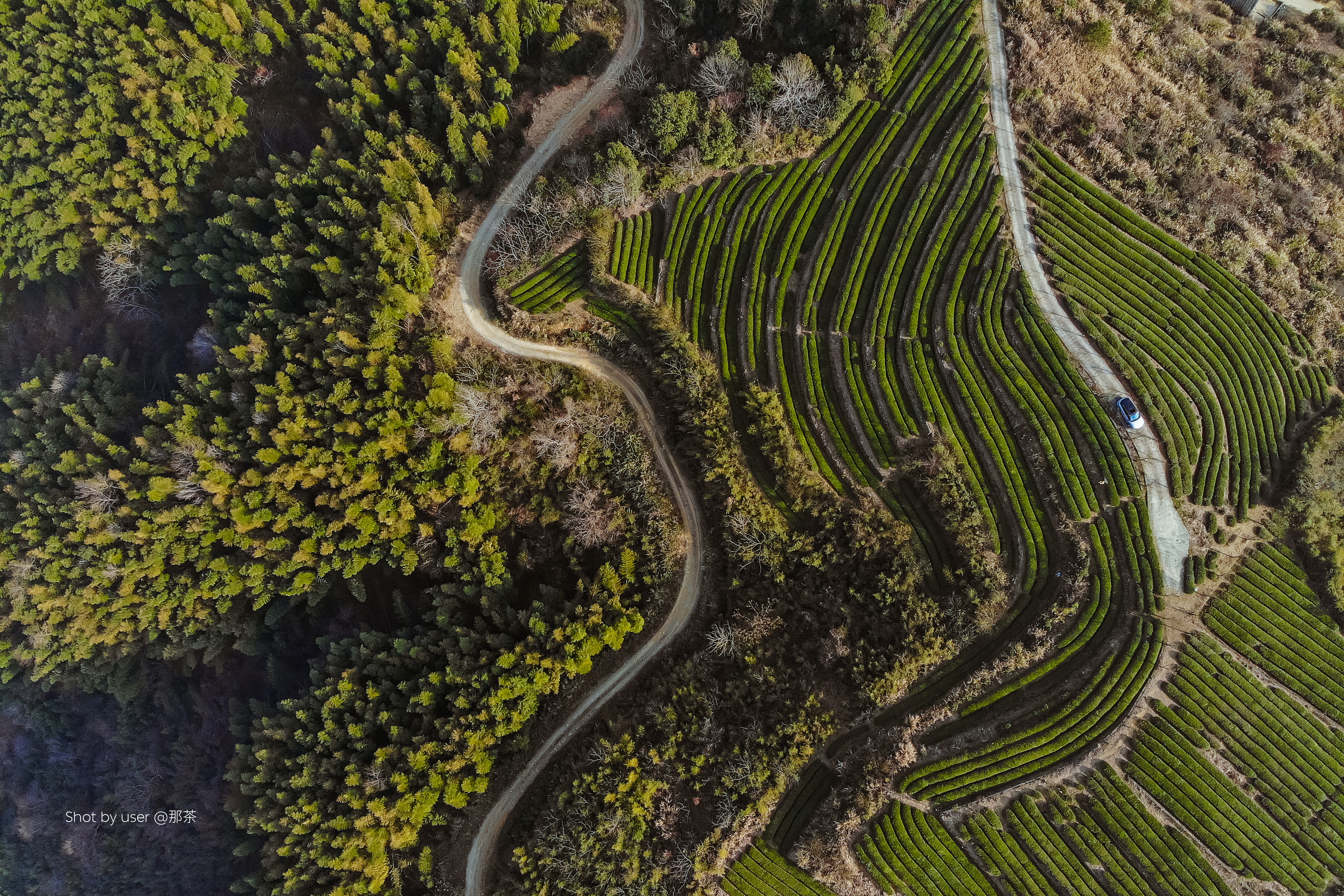 NIO Joins Hands With The Tuolumne River Trust And Patagonia Action Works For River Fest